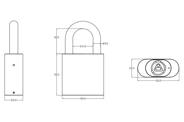 Padlock L50 dimensions